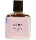 Orchid Intense 2017 Zara for women