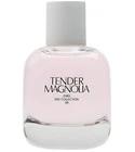 Tender Magnolia
