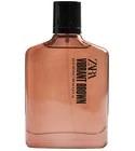 Vibrant Brown Zara for men