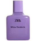 White Gardenia Zara for women