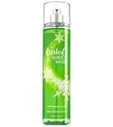 Frosted Winter Woods Bath & Body Works for women