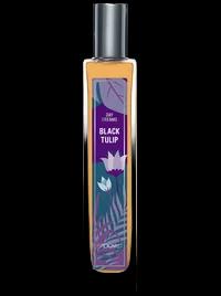 Black Tulip