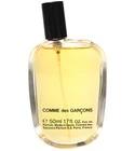 Comme des Garcons