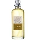 Ylang