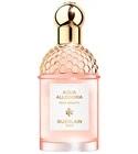 Aqua Allegoria Pera Granita Guerlain for women