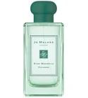 Star Magnolia Cologne (2019) Jo Malone London for women and men