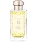 Starlit Mandarin & Honey Jo Malone London for women and men
