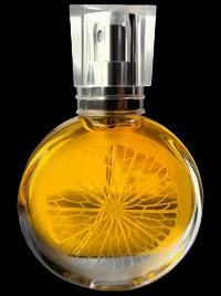 Solnechny Zaychik Солнечный Зайчик