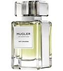 Hot Cologne Mugler for women and men