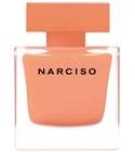 Narciso Eau de Parfum Ambrée
