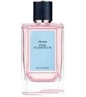 Pink Flamingos Prada for women and men