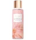 Horizon In Bloom Victoria's Secret for women
