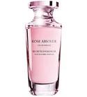Rose Absolue