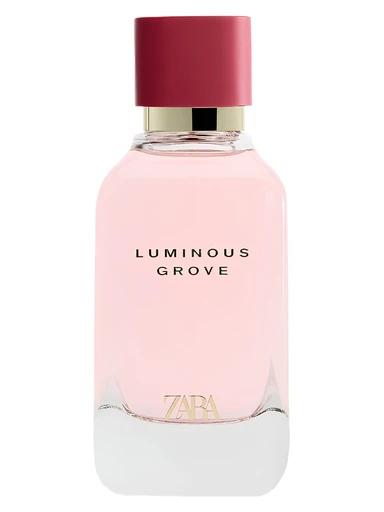 Luminous Grove Zara for women