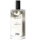 Radiant Bloom Zara for men