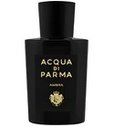 Ambra Eau de Parfum