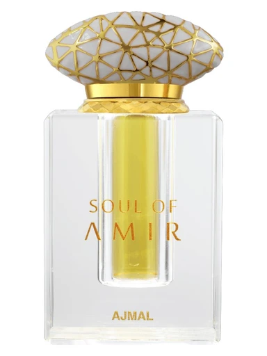 Soul Of Amir