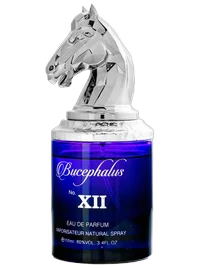 Bucephalus XII