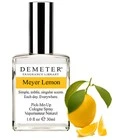 Meyer Lemon