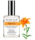 Tiger Lily