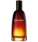 Fahrenheit Dior for men