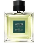Vetiver