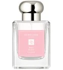Rose Blush Cologne (2023