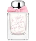 Rose Blush Cologne