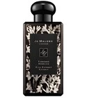 Tuberose Angelica Rich Extrait