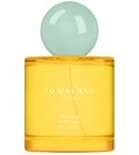 Yellow Hibiscus Cologne