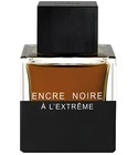 Encre Noire A L'Extreme