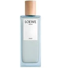 Agua Drop Loewe for women