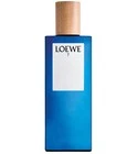 Loewe 7 Loewe for men