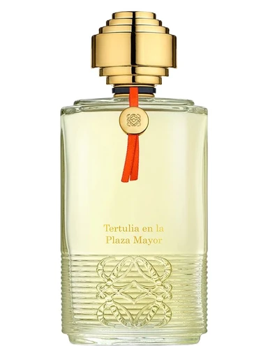 Tertulia en la Plaza Mayor