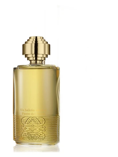 Tras la tormenta en el Jardín Botánico