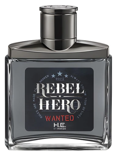 Rebel Hero Wanted