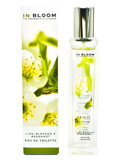 Lime Blossom and Bergamot