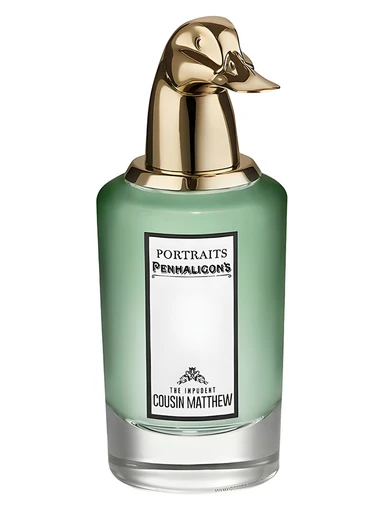 The Impudent Cousin Matthew