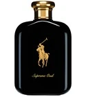 Polo Supreme Oud