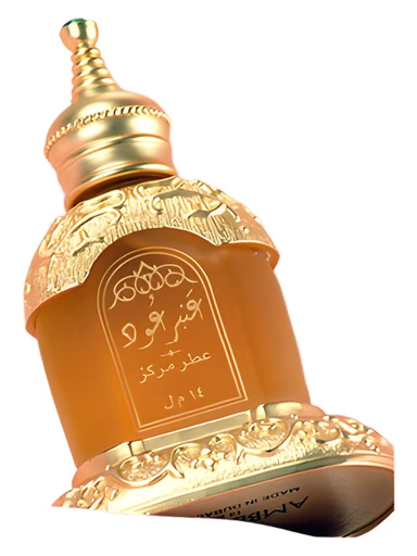 Amber Oudh