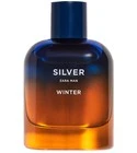 Silver Winter Man