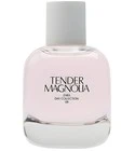 Tender Magnolia